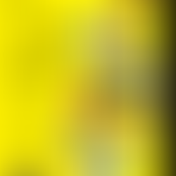 Review: The Yellow House by Sarah M. Broom