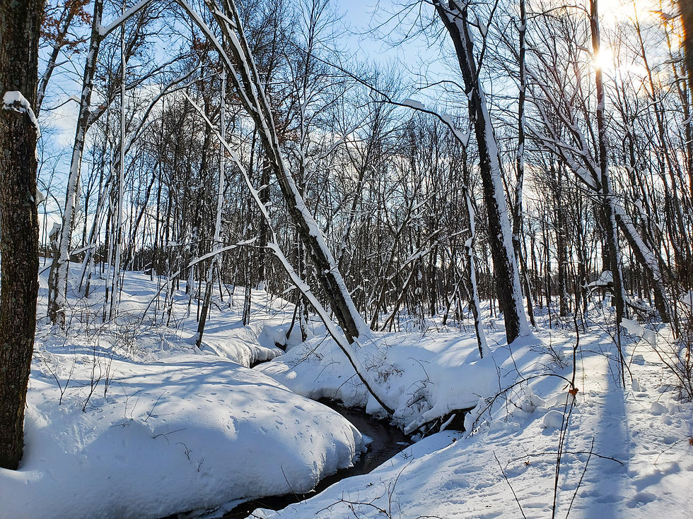 Snowshoeing Photos: Beautiful Winter in Eau Claire County Wisconsin