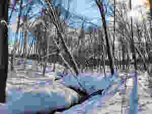 Snowshoeing Photos: Beautiful Winter in Eau Claire County Wisconsin