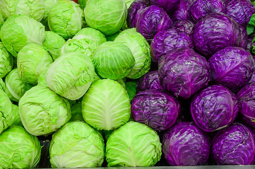CABBAGE.jpg