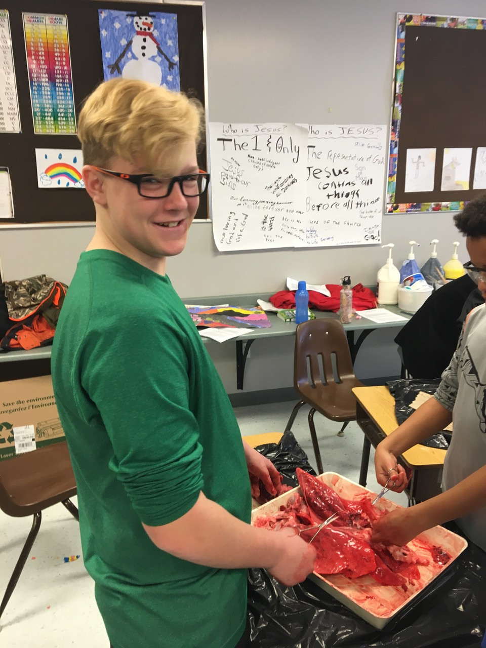 heart and lung dissection