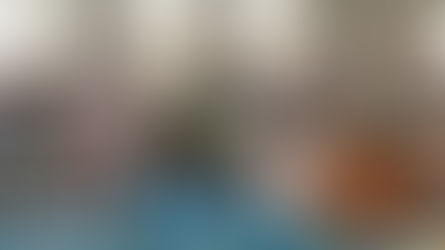 ЗОНЫ БЕДСТВИЙ - НЕ МЕСТО ДЛЯ КЛОУНАДЫ?