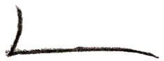 spb_line.png