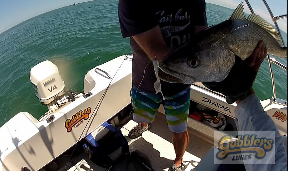 Thumbnail: gobbelrs_lures_merchandise_stickers