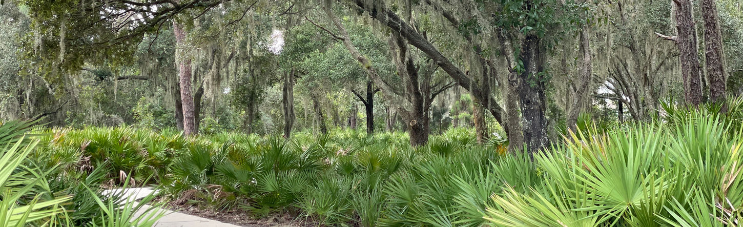 Walking trails in Mallory Park, Lakewood Ranch