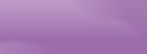 Fundo Lilas.jpg