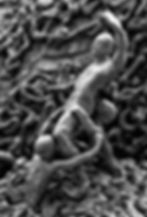 The Insatiable Appetite of Gravity