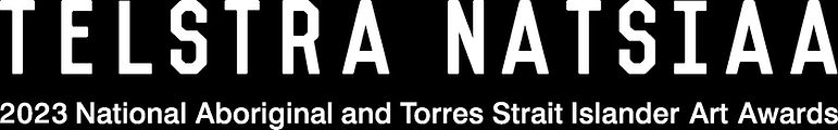 2023 NATSIAA logo_white.jpeg