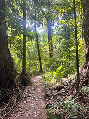 Holmes Jungle Park 