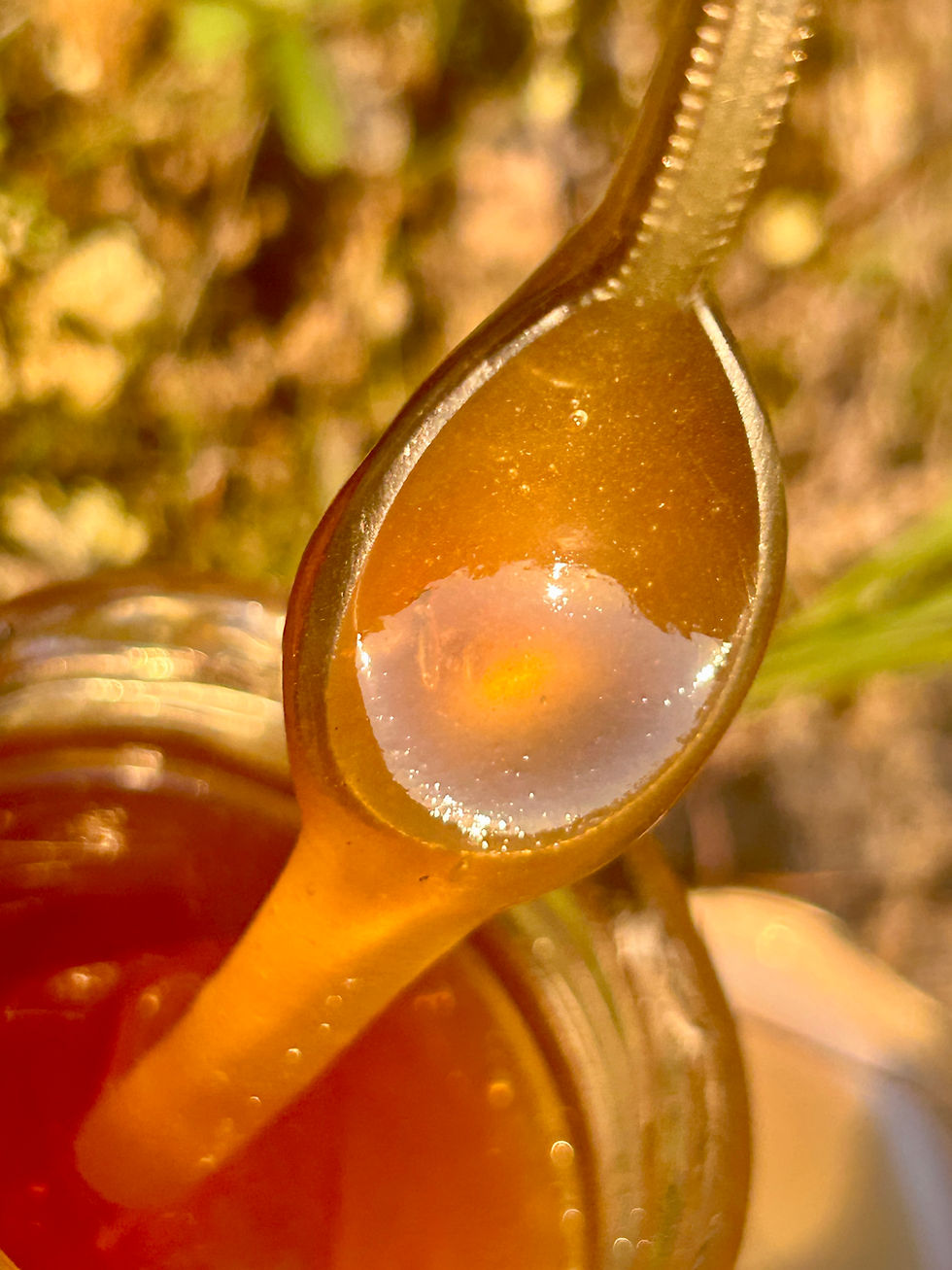 Soms vind je onverwacht precies wat je zoekt. En blijkt het nog mooier te zijn dan je had gehoopt