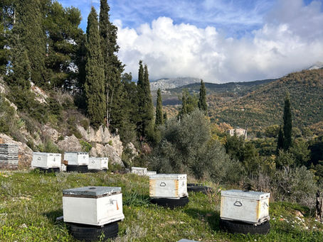 Soms vind je onverwacht precies wat je zoekt. En blijkt het nog mooier te zijn dan je had gehoopt.