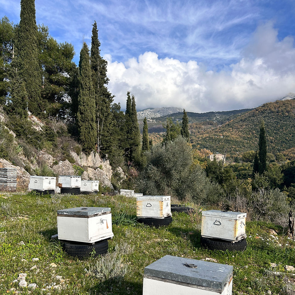 Soms vind je onverwacht precies wat je zoekt. En blijkt het nog mooier te zijn dan je had gehoopt.