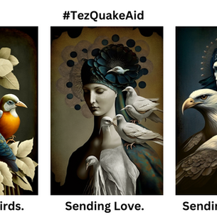 Supporting Turkey + Syria with NFTs