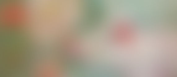 Poppy, Poppies & Glen Ellen