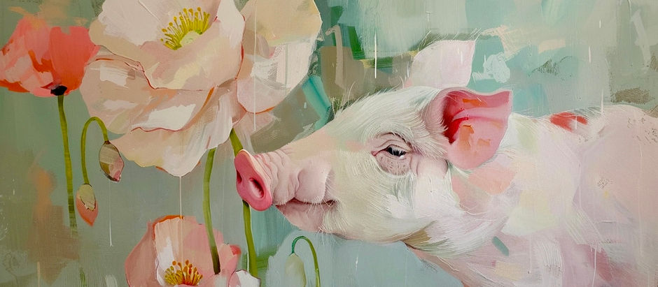 Poppy, Poppies & Glen Ellen