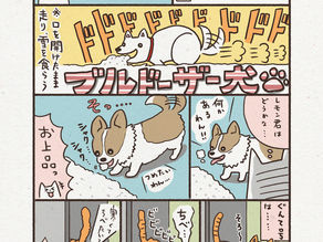 27作目:雪といぬねこ