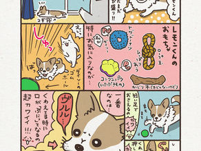 28作目:ぷにぷにもちもち