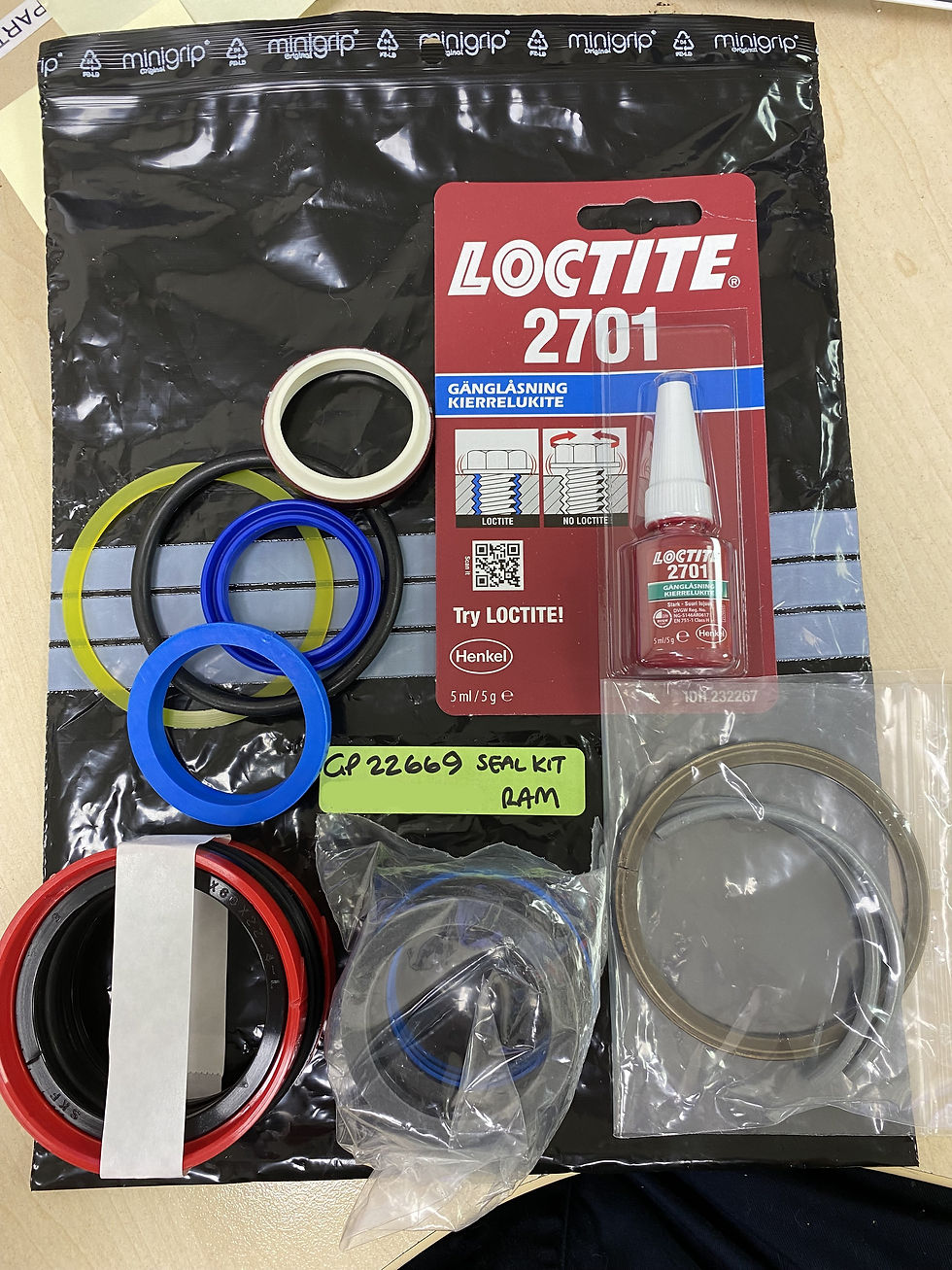 Seal kit 46141D for Hydraulic Cylinder SK2005