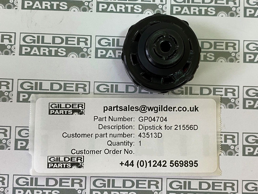 Dipstick Cap 43513D for 21556D