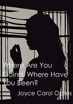 Silhouette of a young girl looks out of a screen door.