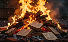 The Book Thief.jpg