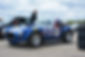 Rally Cobra