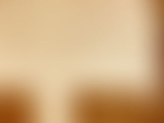 [個展のテーマ Birdについて]