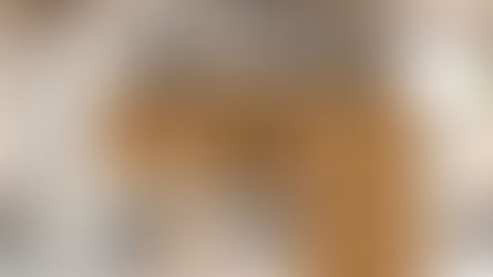 Why Laminates are the Future of Interior Design?