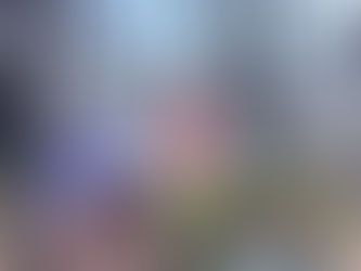 【春にしては冷たい北風】