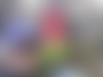 【何とかハーフを超えました】