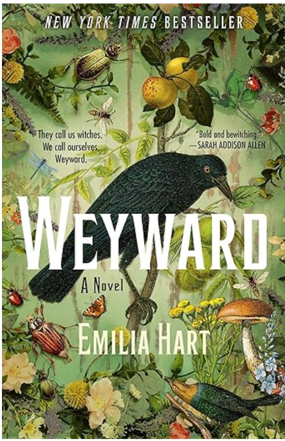 Book club discussion Weyward by Emilia Hart