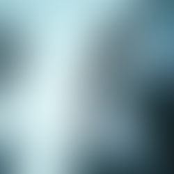 Navigating South African Insurance Insights