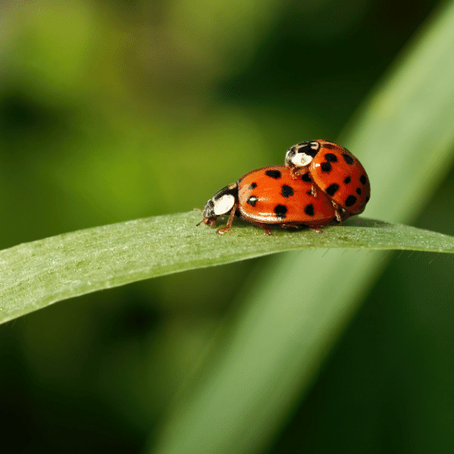 Intimiteit & seksualiteit...