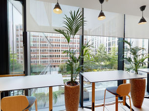Physical Workspace remains key in Mongo DB's Successful Recruitment and Onboarding Program