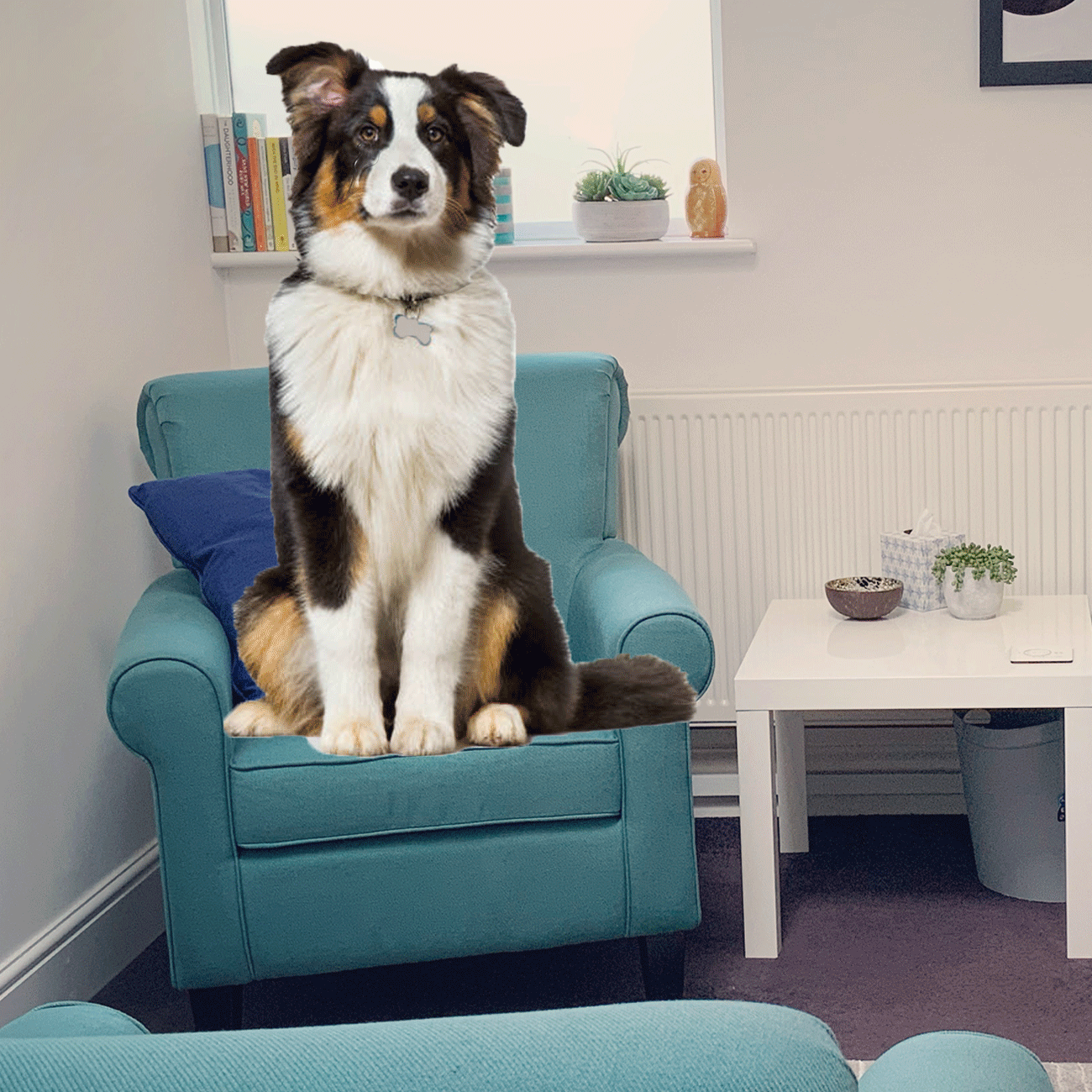 dog.gif