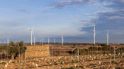 Windfarm Coll del Moro, Spain