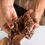 Thumbnail: Crack Cookies