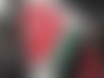 ¿Los colombianos han perdonado a exguerrilleros de las FARC?
