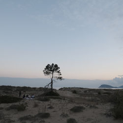 DSCF0613