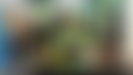 Empresa associada à Apralim no Show de Paul McCartney, apoiando o compromisso sustentável vegano