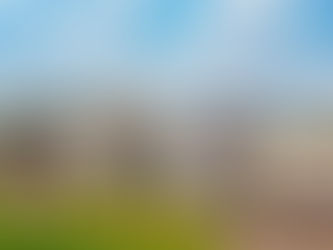 Moinho Globo completa 70 anos e prepara ampliação da produção para mil toneladas/dia