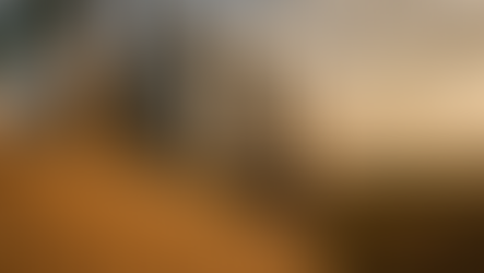 Setor moageiro prevê cenário crítico e alta dependência de trigo importado