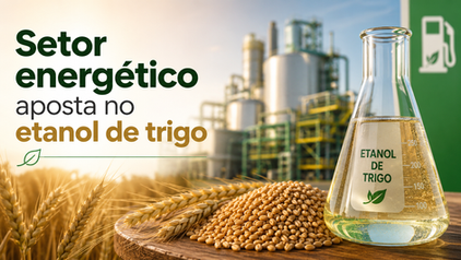 Setor energético aposta no etanol de trigo