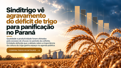 Sinditrigo vê agravamento do déficit de trigo para panificação no Paraná