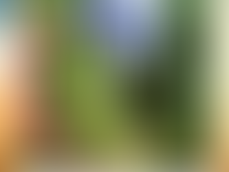 Presidente do Sinditrigo|PR participa do primeiro encontro do Conselho Assessor Externo da Embrapa Trigo