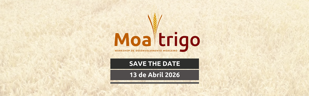 BANNER SINDI MID (8).png