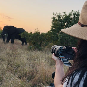 african safari tips and photography
