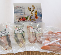 20180820-0D7C5124.jpg