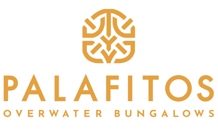 POB_LOGO_Mesa de trabajo 1.png