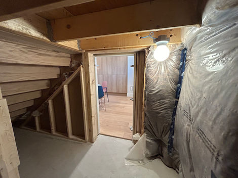 MTC basement under stairs crawl space before
